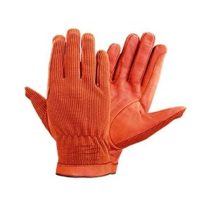 Riding Gloves